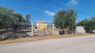 Μεζονέτα 430 τ.μ. για πώληση