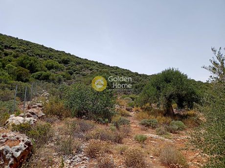 Οικόπεδο 8.200τ.μ. για πώληση-Άγιος νικόλαος » Σχίσμα