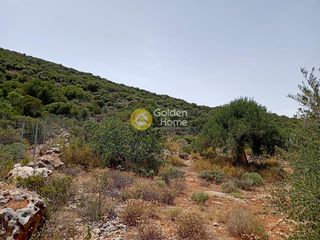 Οικόπεδο 8.200 τ.μ. για πώληση