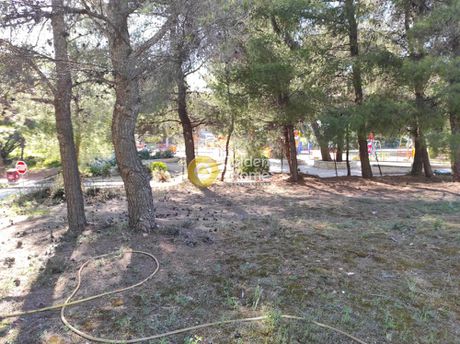 Οικόπεδο 558τ.μ. για πώληση-Πικέρμι » Διώνη