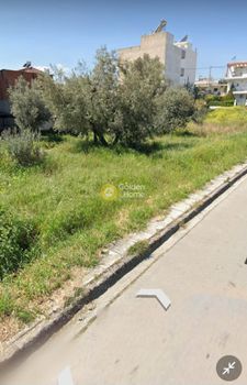 Αγροτεμάχια 142τ.μ. για πώληση-Αχαρνές » Πλάτωνας