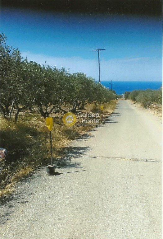 Οικόπεδο 344 τ.μ. προς πώληση, Λιβαδιά Ινναχωρίου