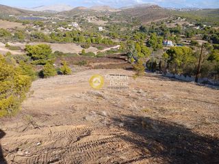 Αγροτεμάχια 4.000 τ.μ. πρός πώληση