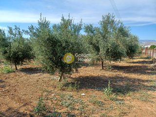 Αγροτεμάχια 470.000 τ.μ. για ενοικίαση, Αργολίδα, Λέρνα-thumb-1
