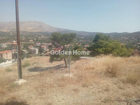 Οικόπεδο 4.050τ.μ. για πώληση-Κερατέα » Συντερίνα