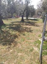 Οικόπεδο 430 τ.μ. για πώληση, Φωκίδα, Ιτέα-thumb-4