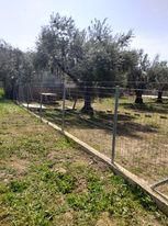 Οικόπεδο 430 τ.μ. για πώληση, Φωκίδα, Ιτέα-thumb-3