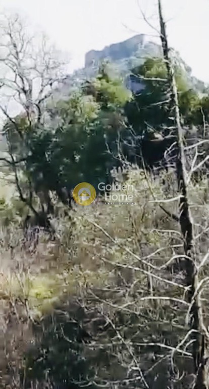 Οικόπεδο 1.763 τ.μ. προς πώληση, Πικουλιάνικα