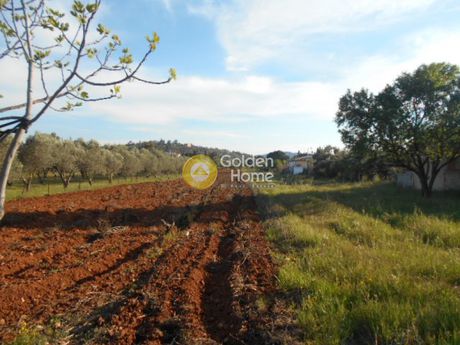 Αγροτεμάχια 3.600τ.μ. για πώληση-Κορωπί » Καρελλάς