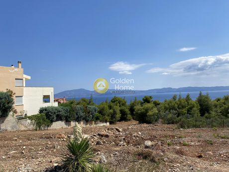 Οικόπεδο 1.060τ.μ. για πώληση-Μαλεσίνα » Θεολόγος