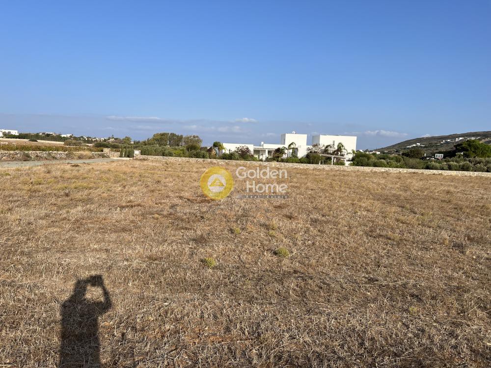 Αγροτεμάχια 4.001 τ.μ. προς πώληση, Ιστέρνι