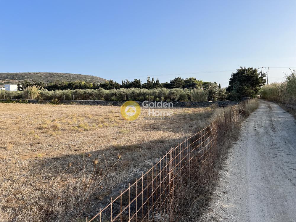 Αγροτεμάχια 4.001 τ.μ. προς πώληση, Ιστέρνι