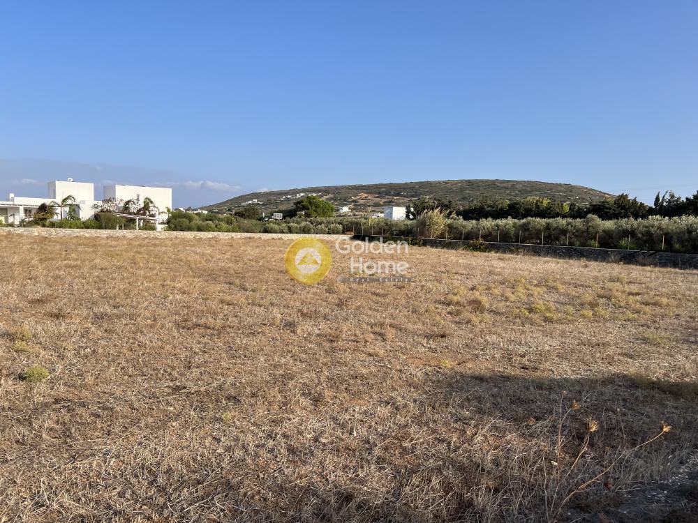 Αγροτεμάχια 4.001 τ.μ. προς πώληση, Ιστέρνι