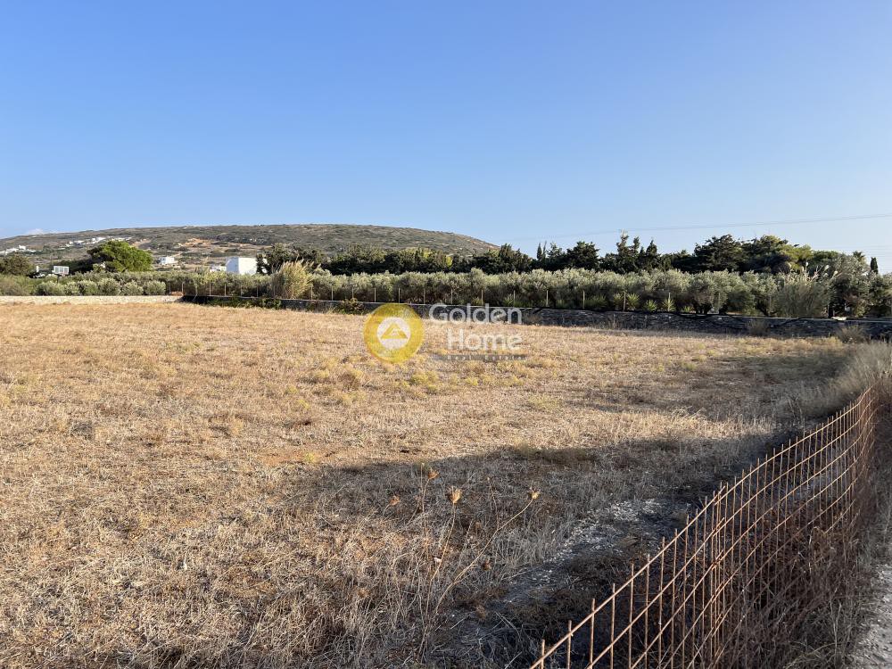 Αγροτεμάχια 4.001 τ.μ. προς πώληση, Ιστέρνι