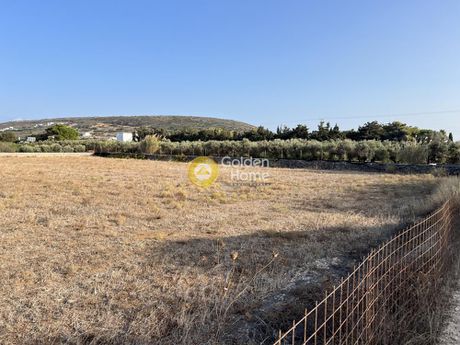 Αγροτεμάχια 4.001 τ.μ. προς πώληση
