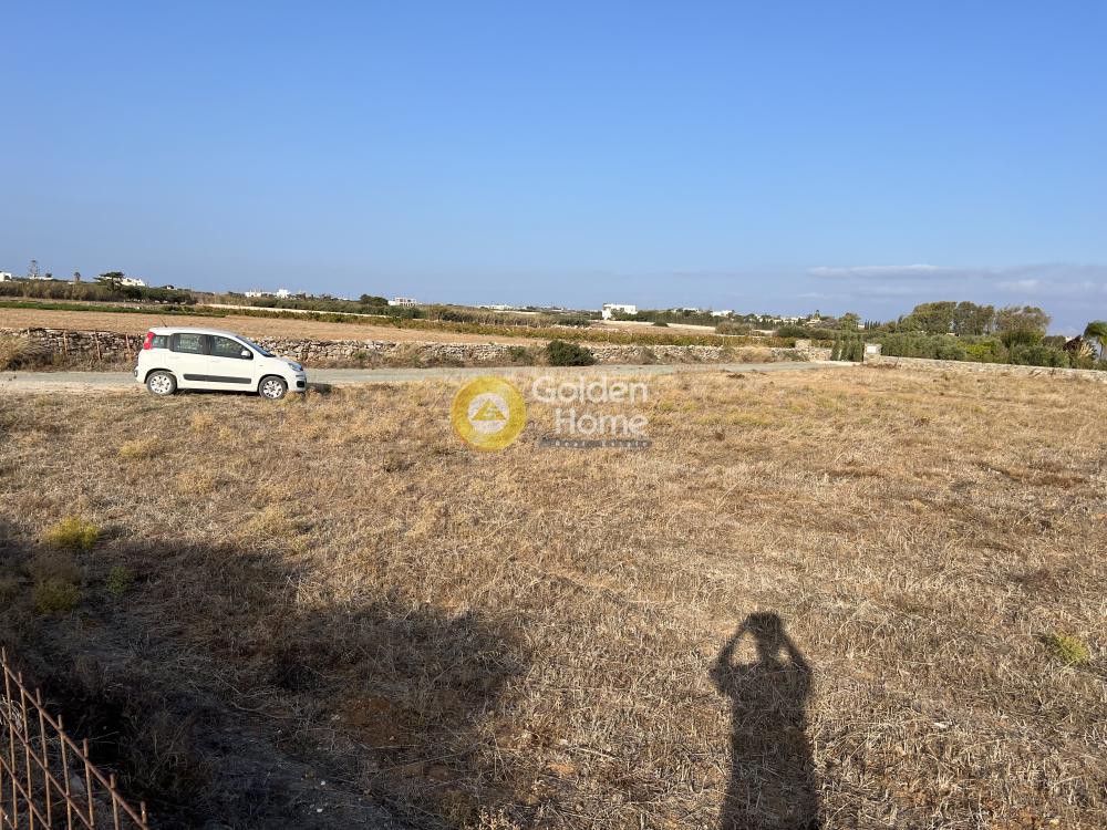 Αγροτεμάχια 4.001 τ.μ. προς πώληση, Ιστέρνι