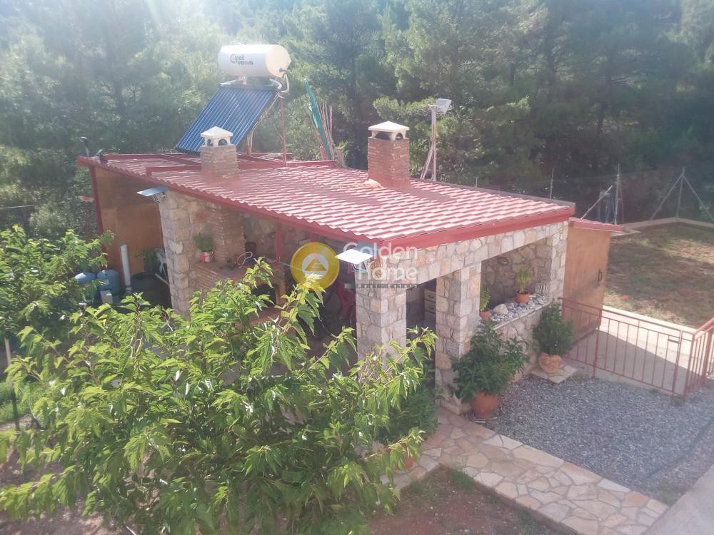 Μονοκατοικία 324 τ.μ. προς πώληση, Αγία Τριάδα Αφιδνών