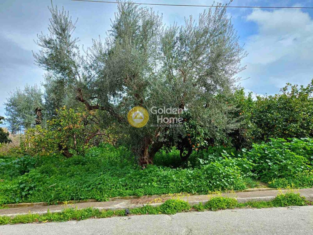 Οικόπεδο 883 τ.μ. προς πώληση, Στόμιο Ευρωστίνης