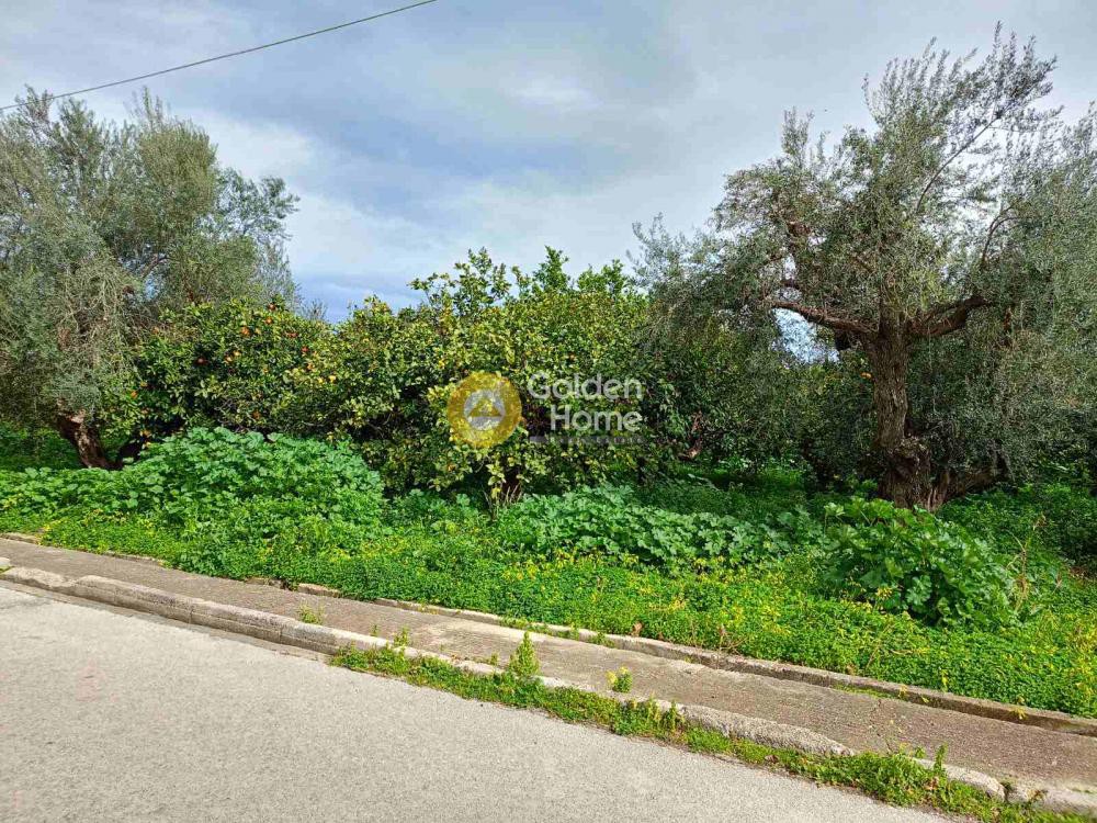 Οικόπεδο 883 τ.μ. προς πώληση, Στόμιο Ευρωστίνης