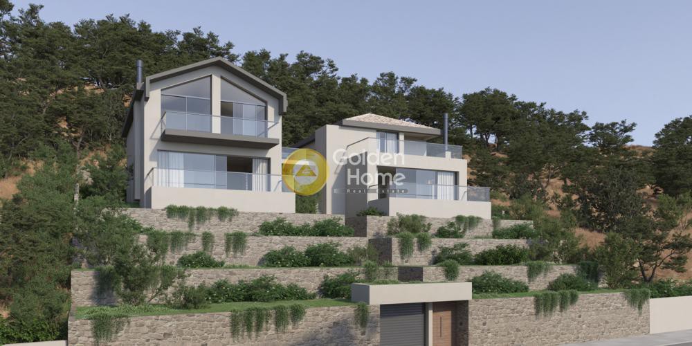 Μονοκατοικία 410 τ.μ. προς πώληση, Διώνη Πικερμίου