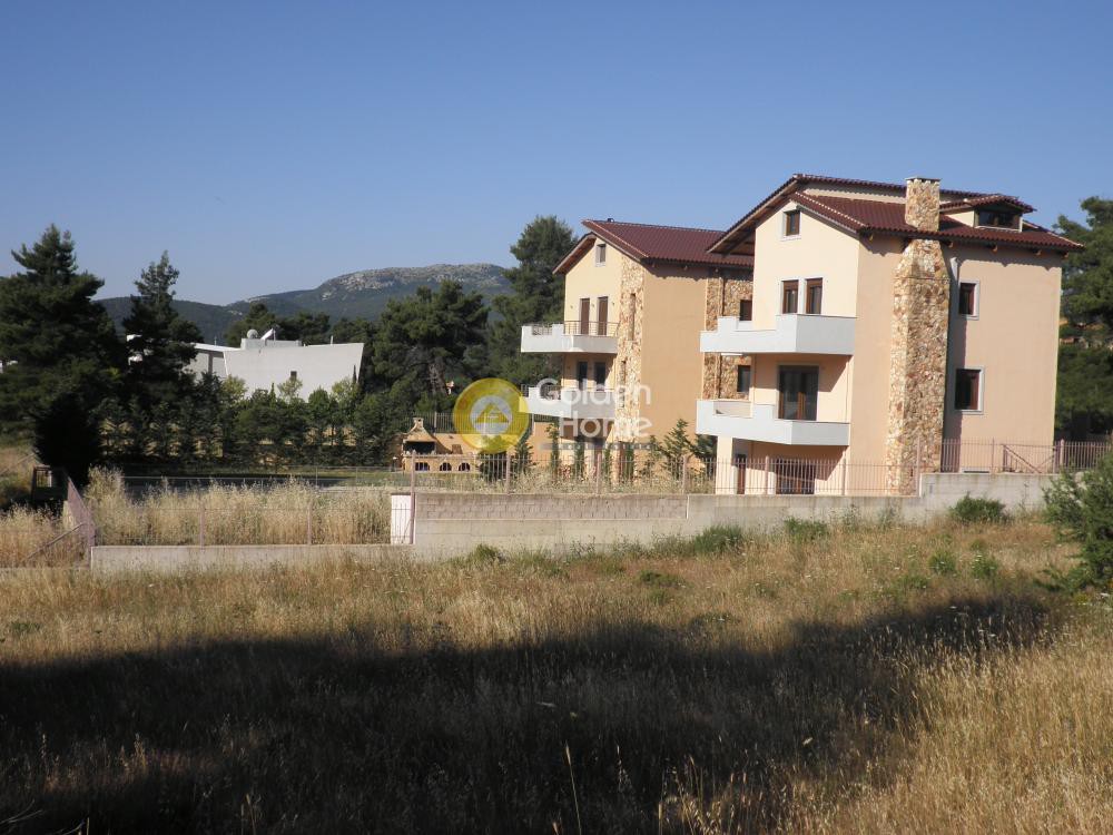 Μονοκατοικία 287 τ.μ. προς πώληση, Αγία Τριάδα Αφιδνών