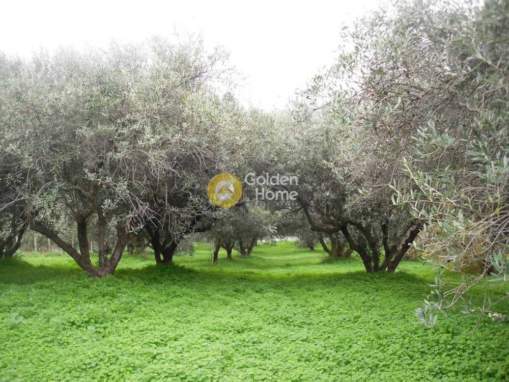 Οικόπεδο 2.078 τ.μ. προς πώληση, Σταυράκια