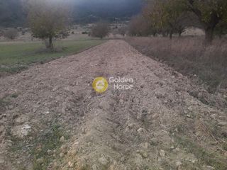 Αγροτεμάχια 1.965 τ.μ. για πώληση