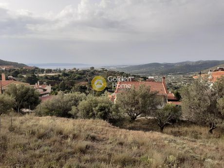 Οικόπεδο 330τ.μ. για πώληση-Κερατέα » Πλάκα