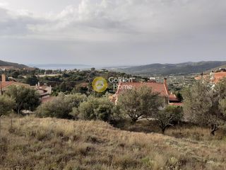 Οικόπεδο 330 τ.μ. για πώληση