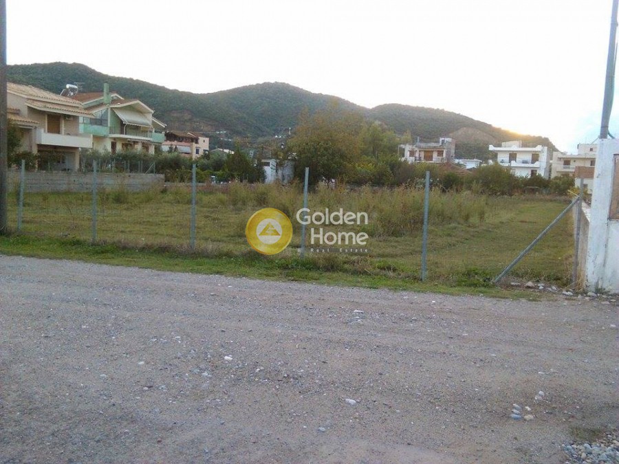 Οικόπεδο 2.380 τ.μ. προς πώληση, Νέος Πύργος Ωρεών