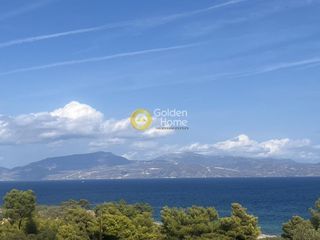 Αγροτεμάχια 10.000 τ.μ. για πώληση