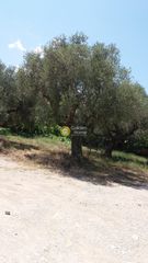 Αγροτεμάχια 480.000 τ.μ. για πώληση, Αργολίδα, Λέρνα-thumb-5