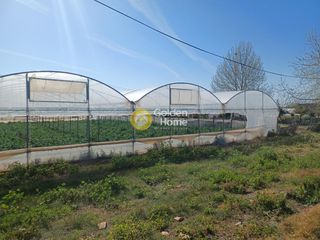 Αγροτεμάχια 480.000 τ.μ. για πώληση, Αργολίδα, Λέρνα-thumb-3