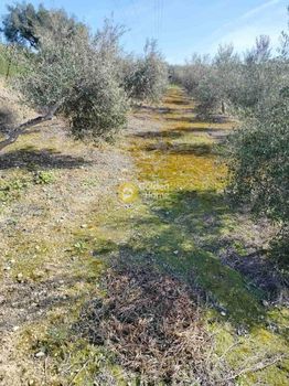 Οικόπεδο 702τ.μ. για πώληση-Γάζι » Κολλυβάς