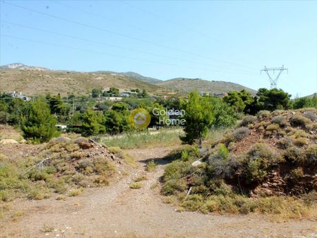 Οικόπεδο 22.000τ.μ. για πώληση-Ανθούσα