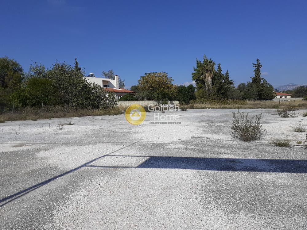 Αγροτεμάχια 5.761 τ.μ. προς πώληση, ΒΙΟ.ΠΑ. Παιανίας