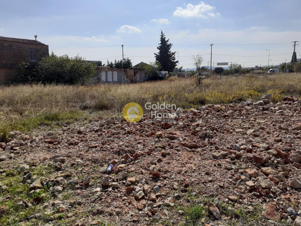 Αγροτεμάχια 5.761 τ.μ. προς πώληση, ΒΙΟ.ΠΑ. Παιανίας