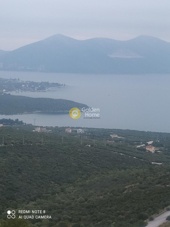 Οικόπεδο 614 τ.μ. προς πώληση, Ακτή Νηρέως