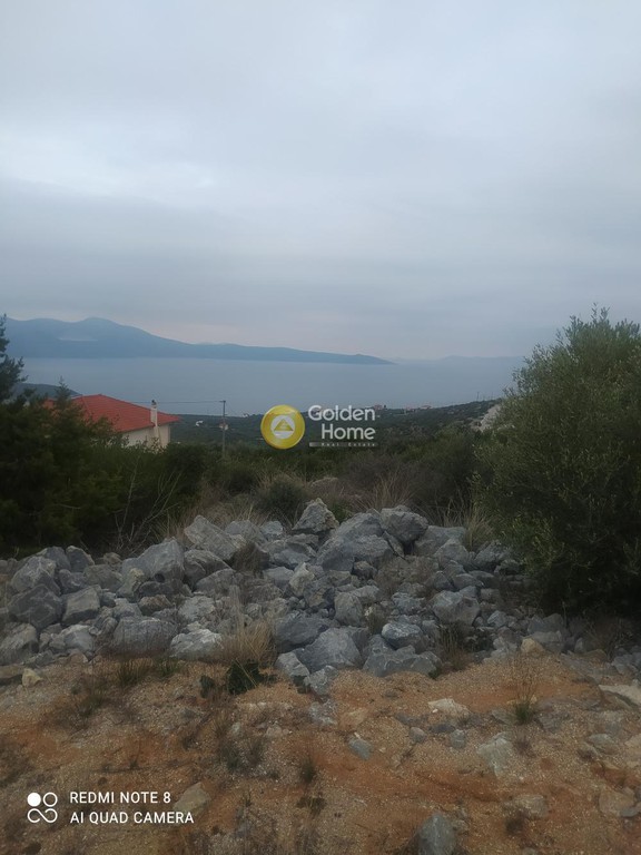 Οικόπεδο 614 τ.μ. προς πώληση, Ακτή Νηρέως