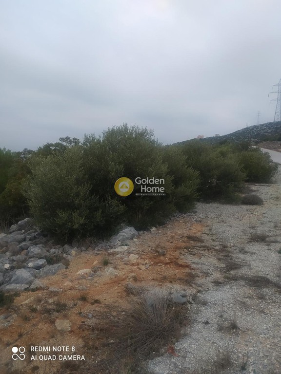 Οικόπεδο 614 τ.μ. προς πώληση, Ακτή Νηρέως