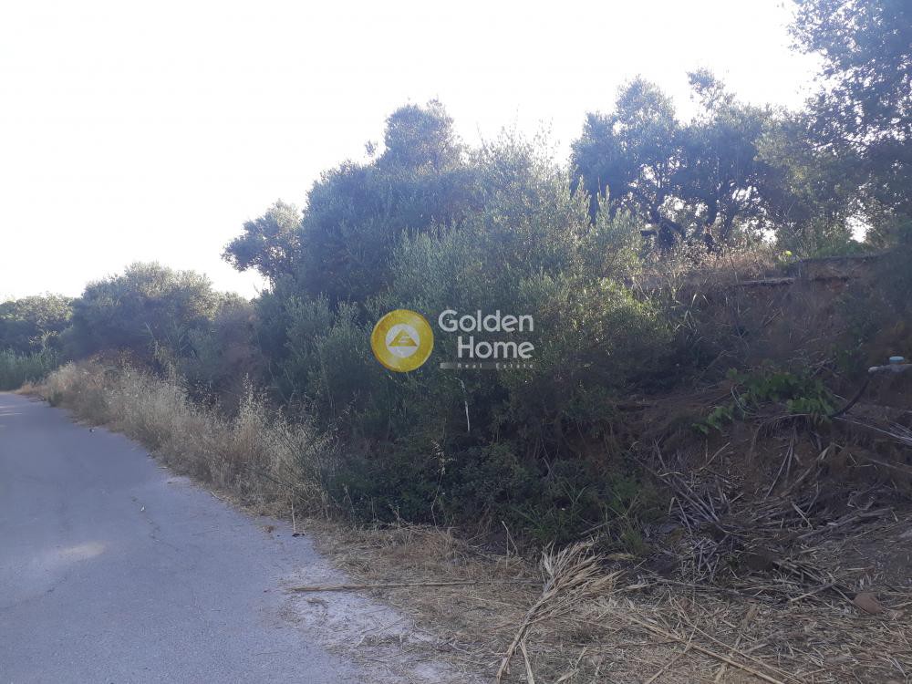 Οικόπεδο 1.265 τ.μ. προς πώληση, Μάλεμε