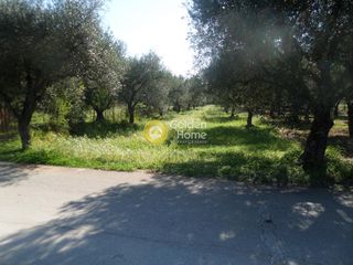 Οικόπεδο 1.350 τ.μ. για πώληση