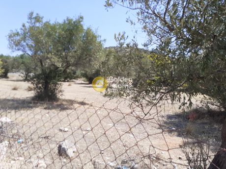 Οικόπεδο 6.500 τ.μ. για πώληση