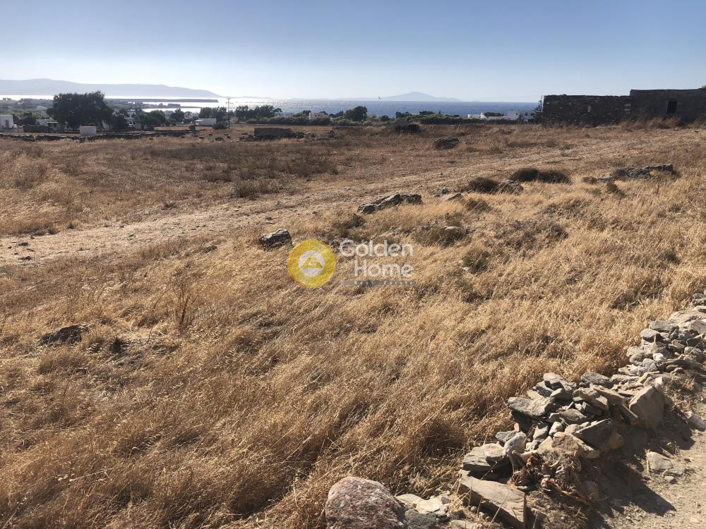 Αγροτεμάχια 24.000 τ.μ. προς πώληση, Τζάνες Πάρου