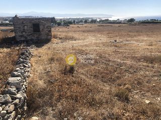 Αγροτεμάχια 24.000 τ.μ. για πώληση