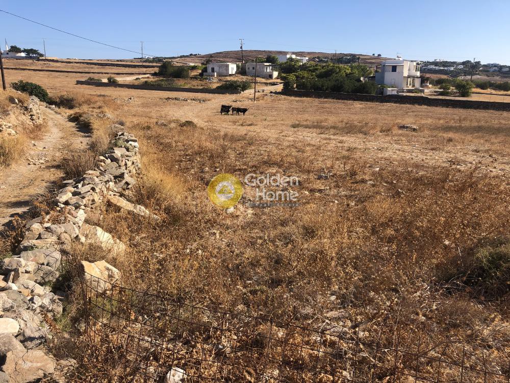 Αγροτεμάχια 24.000 τ.μ. προς πώληση, Τζάνες Πάρου