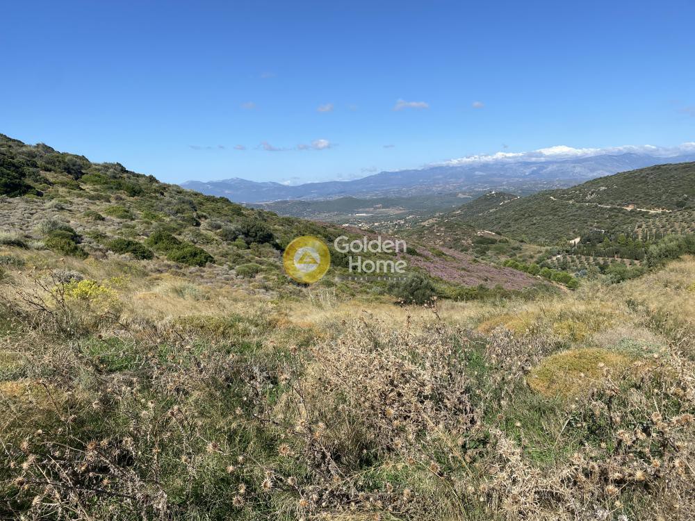 Αγροτεμάχια 25.000 τ.μ. προς πώληση, Πετριές