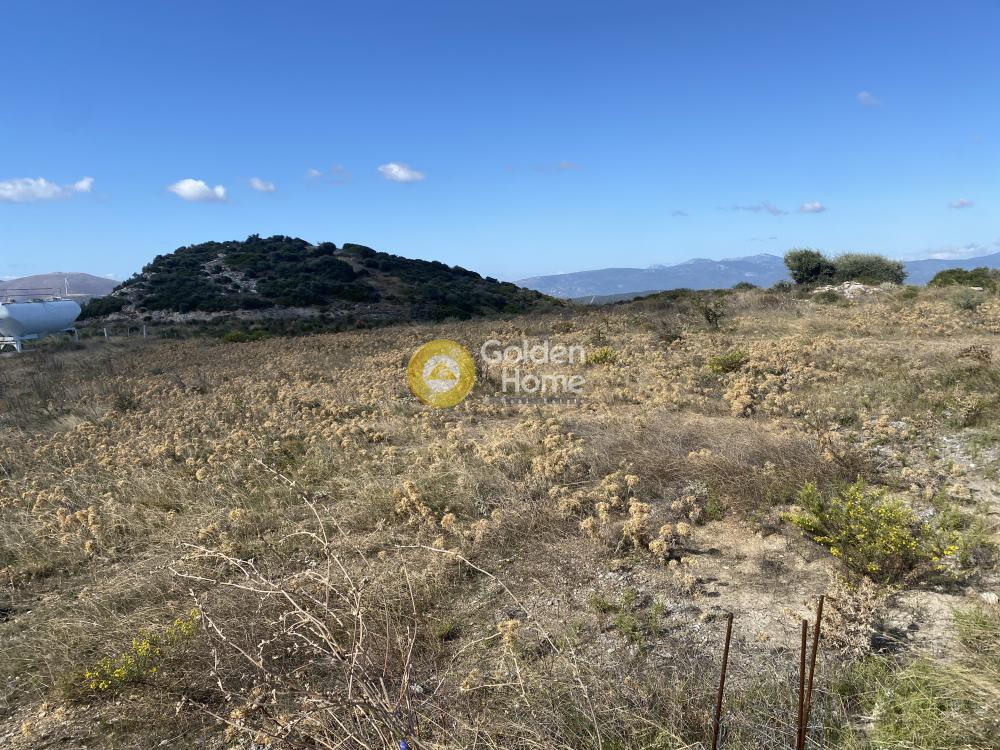 Αγροτεμάχια 25.000 τ.μ. προς πώληση, Πετριές