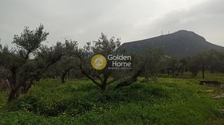 Οικόπεδο 643 τ.μ. για πώληση