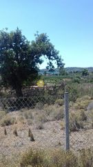 Αγροτεμάχια 251 τ.μ. για πώληση